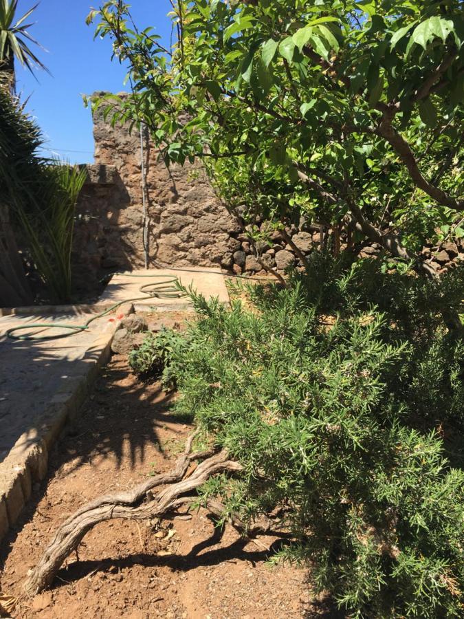Cactus B&B Le Casette Di Marilena Пантеллерія Екстер'єр фото